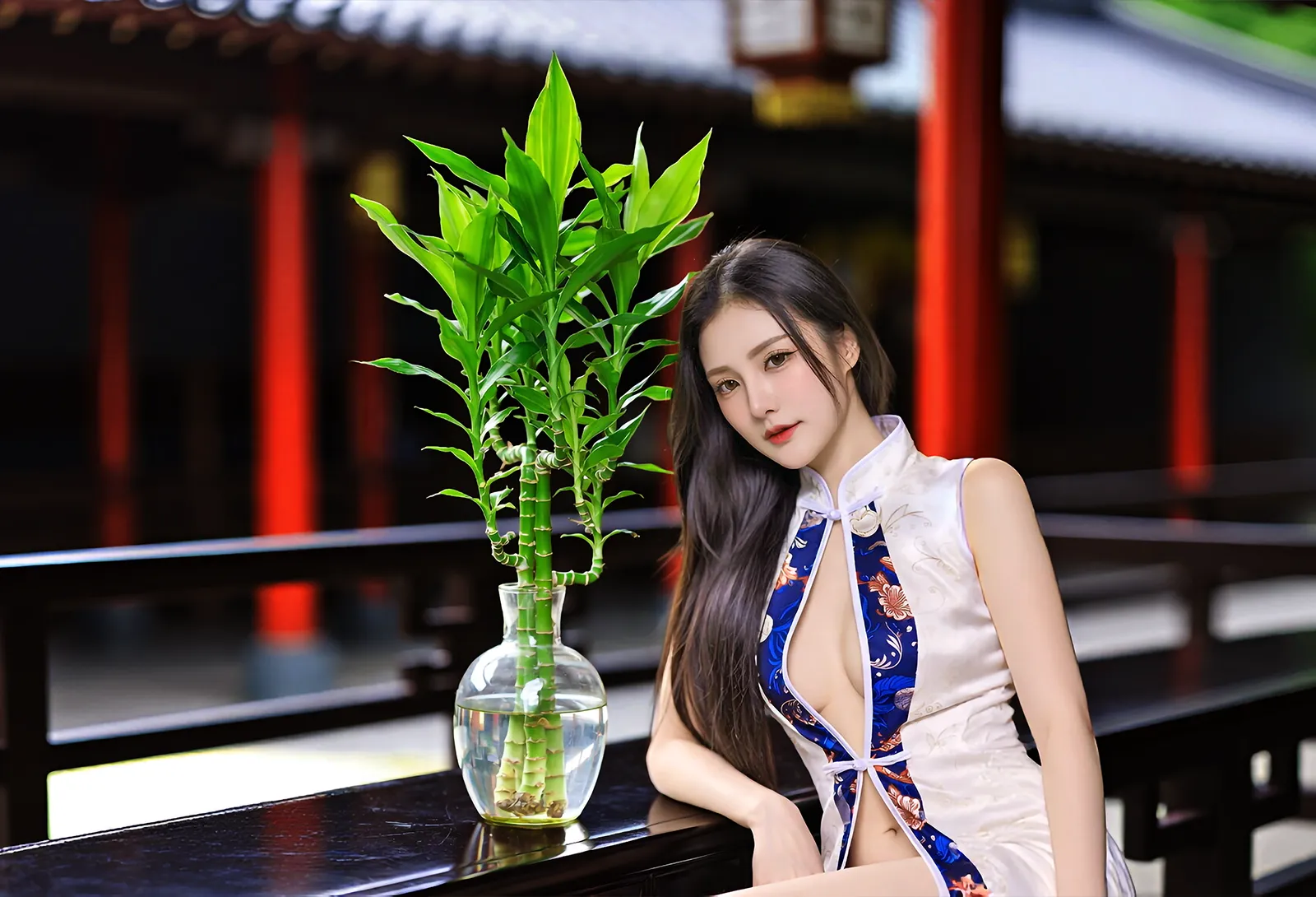 富贵竹